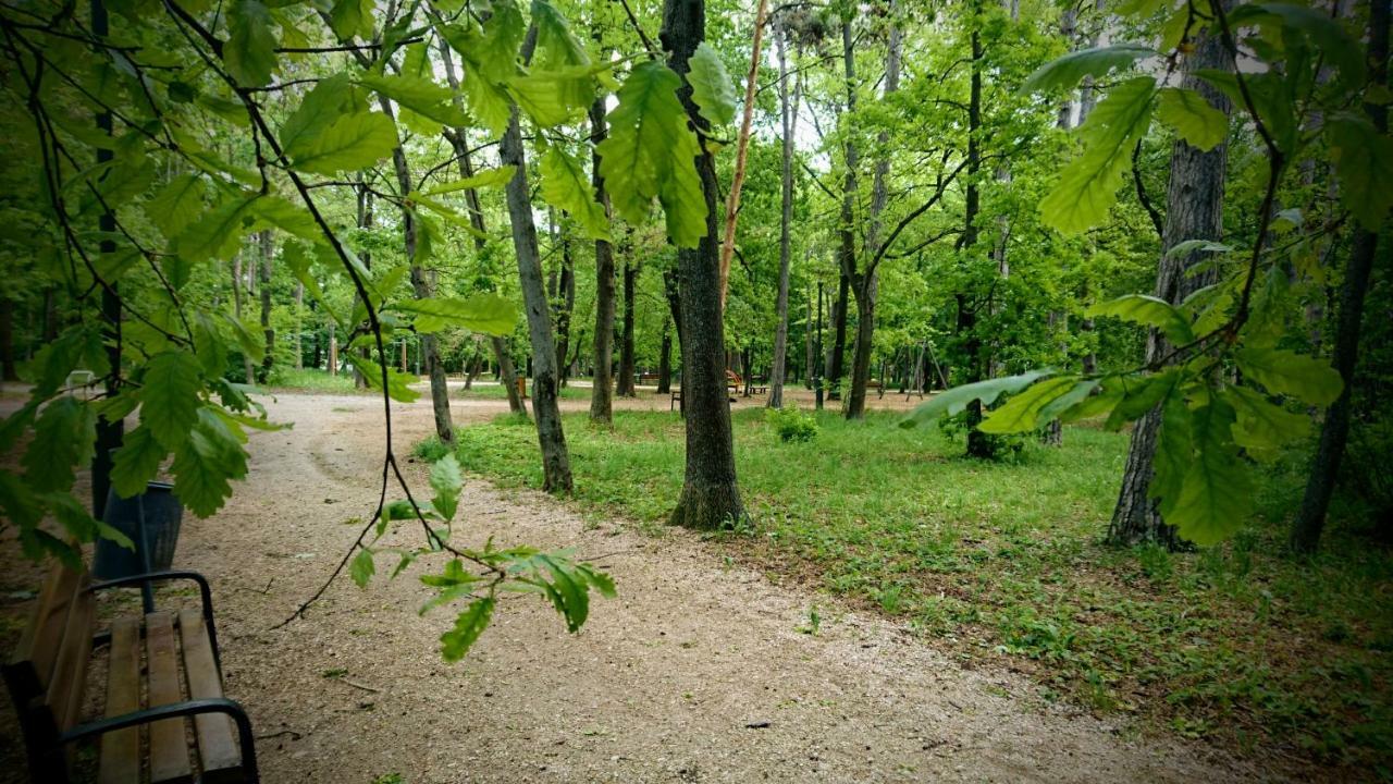 Balatonair Vendeghaz Ξενοδοχείο Balatonfüred Εξωτερικό φωτογραφία